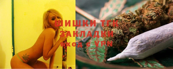 молекула духа Нягань