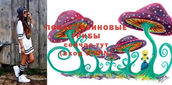 шишки Нязепетровск