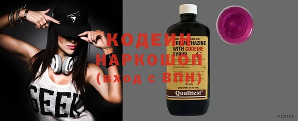 шишки Нязепетровск