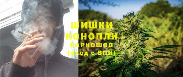 тгк Осташков