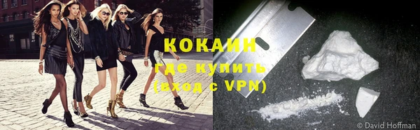 молекула духа Нягань