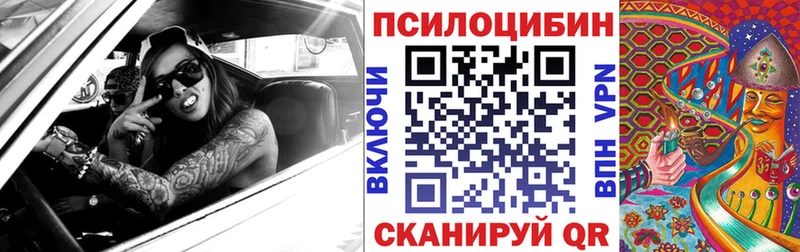 это телеграм  Кизел  Псилоцибиновые грибы мицелий 