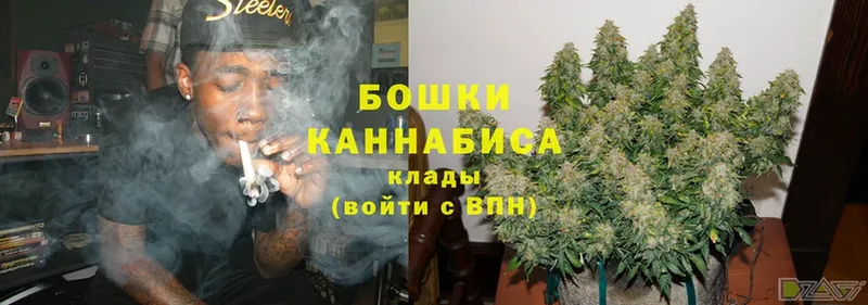 Канабис Bruce Banner  Кизел 